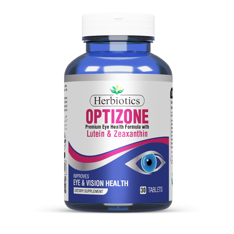 Eye and Brain vision